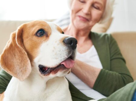 Eine Dame schaut liebevoll ihren Hund an, der neben ihr auf dem Sofa sitzt